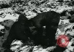Standbild Battle of Bulge europäische Theater, 1945, aus Sekunde 29 historischem Filmmaterial Videoclip 65675078190