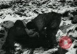 Standbild Battle of Bulge europäische Theater, 1945, aus Sekunde 30 historischem Filmmaterial Videoclip 65675078190