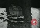 Standbild Battle of Bulge europäische Theater, 1945, aus Sekunde 37 historischem Filmmaterial Videoclip 65675078190