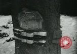 Standbild Battle of Bulge europäische Theater, 1945, aus Sekunde 38 historischem Filmmaterial Videoclip 65675078190