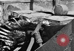 Standbild Deutsche Anlagen Nordafrika, 1943, aus Sekunde 50 historischem Filmmaterial Videoclip 65675078196