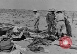Standbild der britischen Armee 8 Nordafrika, 1943, aus Sekunde 9 historischem Filmmaterial Videoclip 65675078197