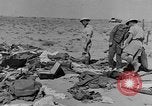 Standbild der britischen Armee 8 Nordafrika, 1943, aus Sekunde 10 historischem Filmmaterial Videoclip 65675078197