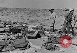 Standbild der britischen Armee 8 Nordafrika, 1943, aus Sekunde 11 historischem Filmmaterial Videoclip 65675078197