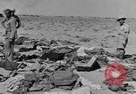 Standbild der britischen Armee 8 Nordafrika, 1943, aus Sekunde 13 historischem Filmmaterial Videoclip 65675078197