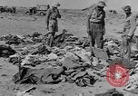 Standbild der britischen Armee 8 Nordafrika, 1943, aus Sekunde 22 historischem Filmmaterial Videoclip 65675078197