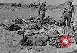 Standbild der britischen Armee 8 Nordafrika, 1943, aus Sekunde 24 historischem Filmmaterial Videoclip 65675078197
