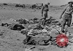 Standbild der britischen Armee 8 Nordafrika, 1943, aus Sekunde 25 historischem Filmmaterial Videoclip 65675078197