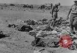 Standbild der britischen Armee 8 Nordafrika, 1943, aus Sekunde 26 historischem Filmmaterial Videoclip 65675078197