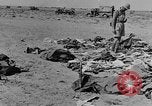 Standbild der britischen Armee 8 Nordafrika, 1943, aus Sekunde 27 historischem Filmmaterial Videoclip 65675078197
