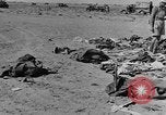 Standbild der britischen Armee 8 Nordafrika, 1943, aus Sekunde 29 historischem Filmmaterial Videoclip 65675078197