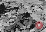 Standbild der britischen Armee 8 Nordafrika, 1943, aus Sekunde 36 historischem Filmmaterial Videoclip 65675078197
