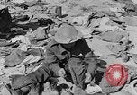 Standbild der britischen Armee 8 Nordafrika, 1943, aus Sekunde 38 historischem Filmmaterial Videoclip 65675078197