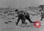 Standbild der britischen Armee 8 Nordafrika, 1943, aus Sekunde 35 historischem Filmmaterial Videoclip 65675078198