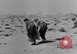 Standbild der britischen Armee 8 Nordafrika, 1943, aus Sekunde 36 historischem Filmmaterial Videoclip 65675078198