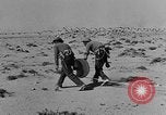 Standbild der britischen Armee 8 Nordafrika, 1943, aus Sekunde 37 historischem Filmmaterial Videoclip 65675078198