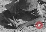 Standbild der britischen Armee 8 Nordafrika, 1943, aus Sekunde 62 historischem Filmmaterial Videoclip 65675078198