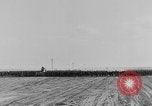 Image of British 8th Army North Africa, 1943, second 3 stock footage video 65675078199