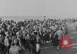 Image of British 8th Army North Africa, 1943, second 35 stock footage video 65675078199