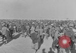 Image of British 8th Army North Africa, 1943, second 44 stock footage video 65675078199