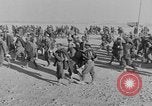 Image of British 8th Army North Africa, 1943, second 51 stock footage video 65675078199