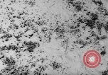 Image of German student avalanche victims recovered Austria, 1954, second 42 stock footage video 65675078208