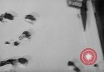 Image of Organization of Secret Army Algeria, 1962, second 19 stock footage video 65675078217