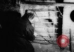 Image of underground tunnel Berlin Germany, 1962, second 31 stock footage video 65675078218