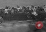 Image of Grand National Liverpool England United Kingdom, 1962, second 34 stock footage video 65675078220