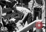 Standbild Indianer dip Schafe in chemischen Bad United States USA, 1941, aus Sekunde 27 historischem Filmmaterial Videoclip 65675078237