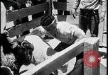 Standbild Indianer dip Schafe in chemischen Bad United States USA, 1941, aus Sekunde 28 historischem Filmmaterial Videoclip 65675078237