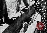 Standbild Indianer dip Schafe in chemischen Bad United States USA, 1941, aus Sekunde 32 historischem Filmmaterial Videoclip 65675078237