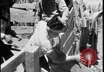 Standbild Indianer dip Schafe in chemischen Bad United States USA, 1941, aus Sekunde 43 historischem Filmmaterial Videoclip 65675078237