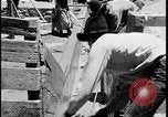 Standbild Indianer dip Schafe in chemischen Bad United States USA, 1941, aus Sekunde 45 historischem Filmmaterial Videoclip 65675078237