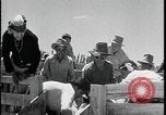 Standbild Indianer dip Schafe in chemischen Bad United States USA, 1941, aus Sekunde 53 historischem Filmmaterial Videoclip 65675078237