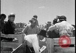Standbild Indianer dip Schafe in chemischen Bad United States USA, 1941, aus Sekunde 55 historischem Filmmaterial Videoclip 65675078237