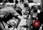 Standbild Indianer dip Schafe in chemischen Bad United States USA, 1941, aus Sekunde 56 historischem Filmmaterial Videoclip 65675078237