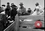 Standbild Indianer dip Schafe in chemischen Bad United States USA, 1941, aus Sekunde 58 historischem Filmmaterial Videoclip 65675078237