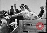 Standbild Indianer dip Schafe in chemischen Bad United States USA, 1941, aus Sekunde 59 historischem Filmmaterial Videoclip 65675078237