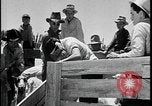 Standbild Indianer dip Schafe in chemischen Bad United States USA, 1941, aus Sekunde 60 historischem Filmmaterial Videoclip 65675078237
