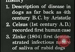 Immagine di Rabbia nel cervello umano United States USA, 1927, secondo 4 filmato di repertorio 65675078239