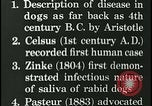 Immagine di Rabbia nel cervello umano United States USA, 1927, secondo 6 filmato di repertorio 65675078239