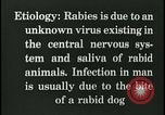 Immagine di Rabbia nel cervello umano United States USA, 1927, secondo 39 filmato di repertorio 65675078239