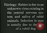 Immagine di Rabbia nel cervello umano United States USA, 1927, secondo 50 filmato di repertorio 65675078239