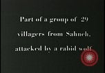 Image iraniens qui sont attaquées par des villageois enragé wolf l'Iran, 1955, de la seconde 25 séquences d'archives historiques vidéo 65675078244