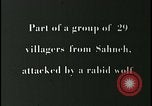 Image iraniens qui sont attaquées par des villageois enragé wolf l'Iran, 1955, de la seconde 26 séquences d'archives historiques vidéo 65675078244