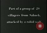Image iraniens qui sont attaquées par des villageois enragé wolf l'Iran, 1955, de la seconde 27 séquences d'archives historiques vidéo 65675078244