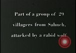 Image iraniens qui sont attaquées par des villageois enragé wolf l'Iran, 1955, de la seconde 28 séquences d'archives historiques vidéo 65675078244