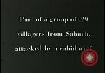 Image iraniens qui sont attaquées par des villageois enragé wolf l'Iran, 1955, de la seconde 29 séquences d'archives historiques vidéo 65675078244