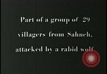 Image iraniens qui sont attaquées par des villageois enragé wolf l'Iran, 1955, de la seconde 31 séquences d'archives historiques vidéo 65675078244